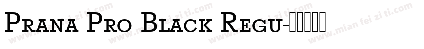 Prana Pro Black Regu字体转换